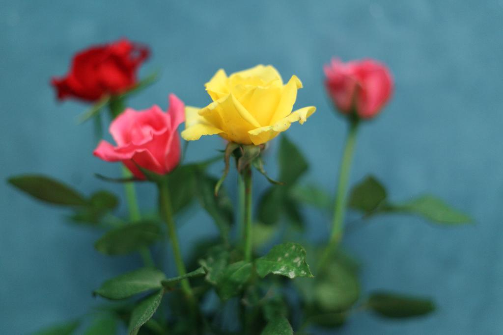 Riad Kamar Zamane 마라케시 객실 사진